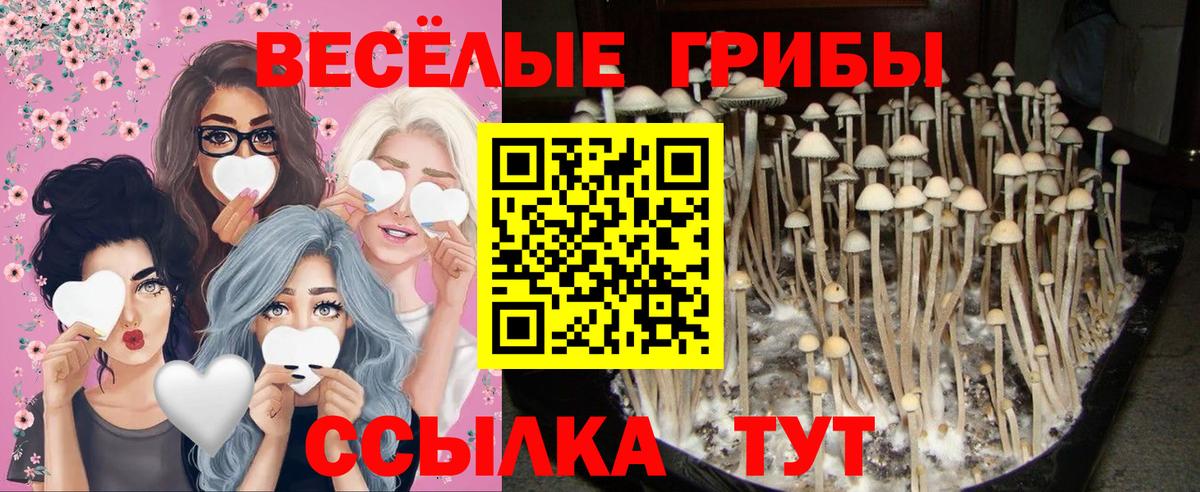 Галлюциногенные грибы мухоморы Бутурлиновка